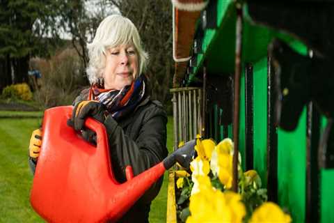 Top Garden Maintenance Mistakes and How to Avoid Them