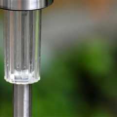 Landscape Lighting in Fort Worth Inspired by Commercial Tree Care for Smarter Outdoor Design