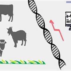 Understanding Genetic Management in Animal Breeding Programs