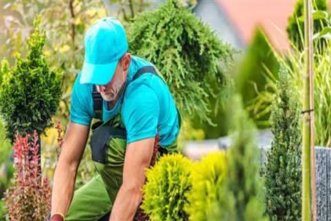 Sustainable Landscaping: Eco-Friendly Solutions in Portland