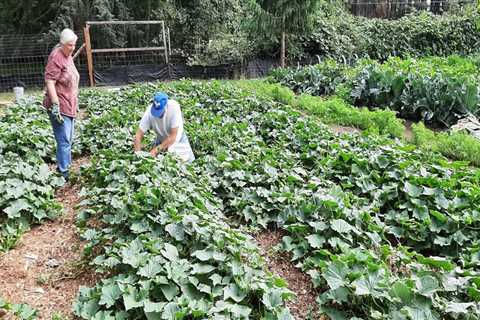 King County Washington Gardening and the Benefits of Reliable Waste Solutions