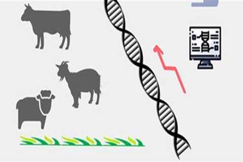 Understanding Genetic Management in Animal Breeding Programs