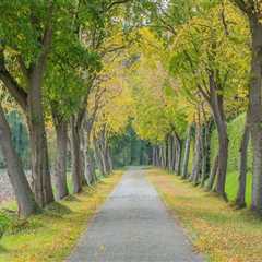 Sustainable Farm Systems and Tree Services in Damascus, OR