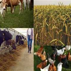 The Role of Animal Husbandry in Sustainable Food Production