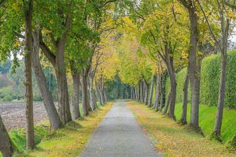 Sustainable Farm Systems and Tree Services in Damascus, OR