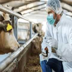 Effective Strategies for Preventing and Controlling Infectious Diseases in Livestock