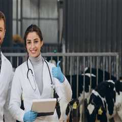 Understanding the Vital Role of Veterinarians in Livestock Health Services