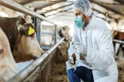 Effective Strategies for Preventing and Controlling Infectious Diseases in Livestock