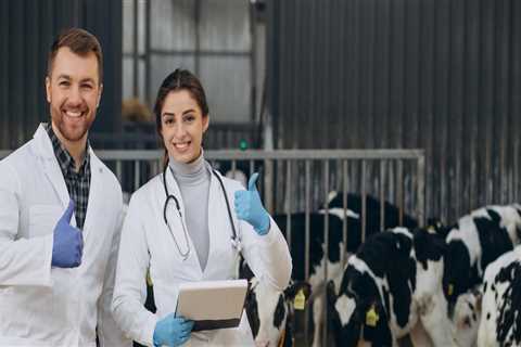Understanding the Vital Role of Veterinarians in Livestock Health Services